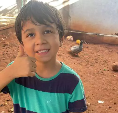 Pato Jerry volta para casa após 15 dias desaparecido