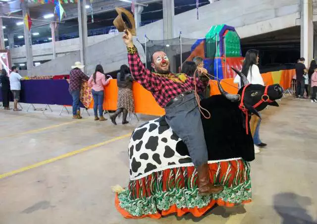 Fantasia de Touro Candil brilha no São João da ALEMS