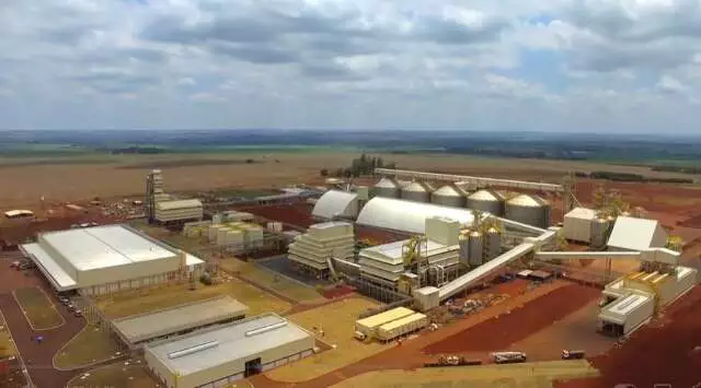 MS exporta 43% da soja sem processamento; estudo aponta potencial