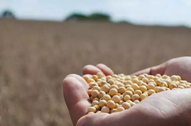 Agro de MS cresce 59,7% e fatura R$ 84,2 bilhões em 10 anos