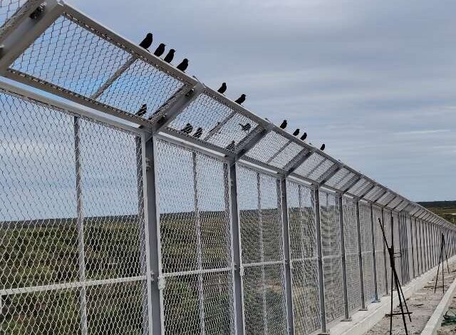 A Ponte Bioceânica terá barreiras para proteger aves