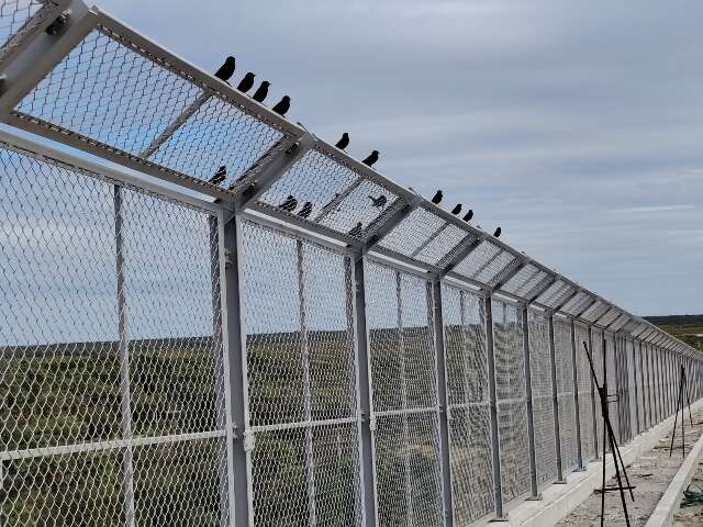 A Ponte Bioceânica terá barreiras para proteger aves
