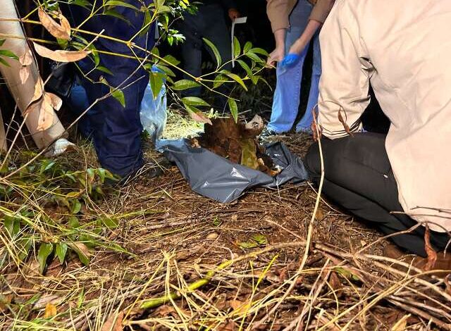 Ossada humana é encontrada na fazenda de Três Lagoas