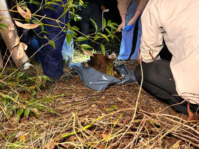 Ossada humana é encontrada na fazenda de Três Lagoas
