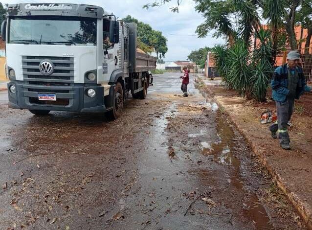 Árvore removida após quase um mês obstruindo rua em CG