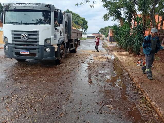 Árvore removida após quase um mês obstruindo rua em CG