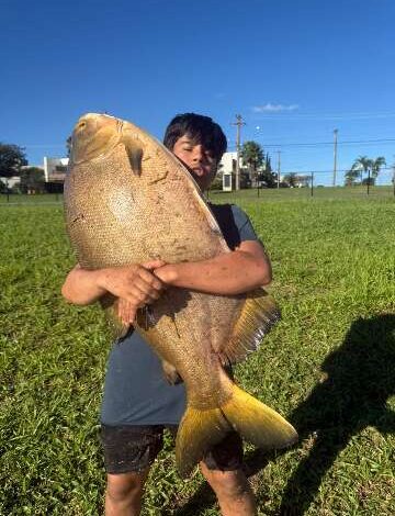 Menino de 12 anos pesca tambacu de 40 kg em condomínio de MS