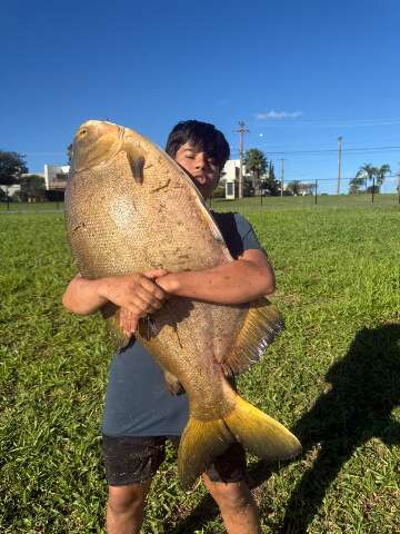 Menino de 12 anos pesca tambacu de 40 kg em condomínio de MS