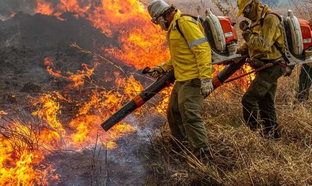 Governo libera R$ 337,5 milhões para combate a incêndios