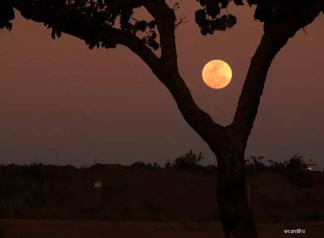 Lua de Morango brilha no céu de Mato Grosso do Sul