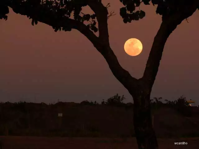 Lua de Morango brilha no céu de Mato Grosso do Sul