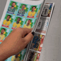 Vereadora de MS divulga figurinhas não oficiais da Copa