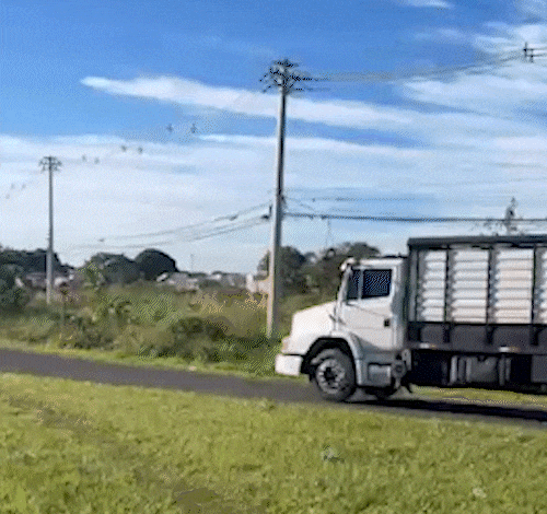 Caminhos em alta velocidade ameaçam moradores de Campo Grande