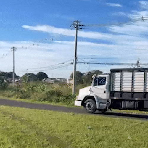 Caminhos em alta velocidade ameaçam moradores de Campo Grande