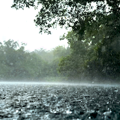 Rio da Prata: águas cristalinas encantam mesmo sob chuva