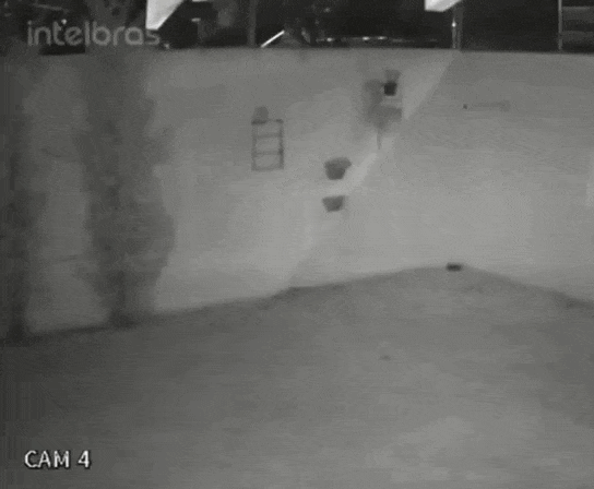 Rato morto e lixo: Vizinha denuncia 3 anos de hostilidade