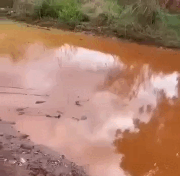 Rua sem asfalto vira lamaçal e isola moradores no Lageado