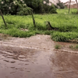 Justiça determina perícia em esgoto a céu aberto em Campo Grande