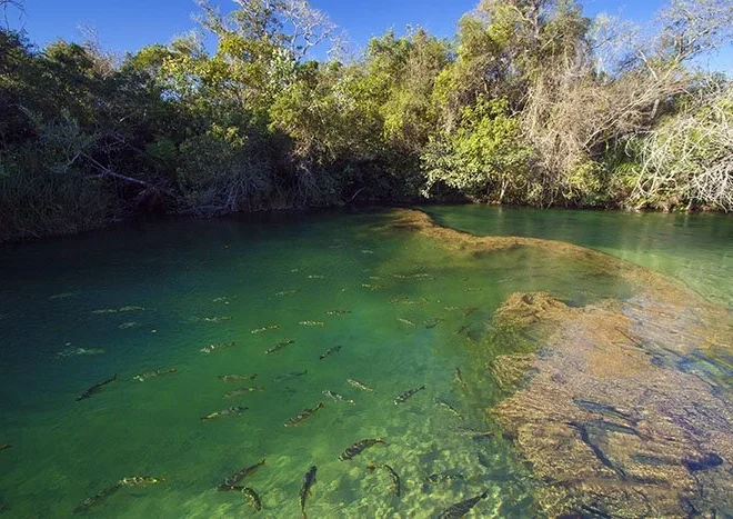 Cientistas monitoram qualidade da água em rios de Bonito