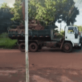 GCM prende dois homens por descarte irregular em Campo Grande