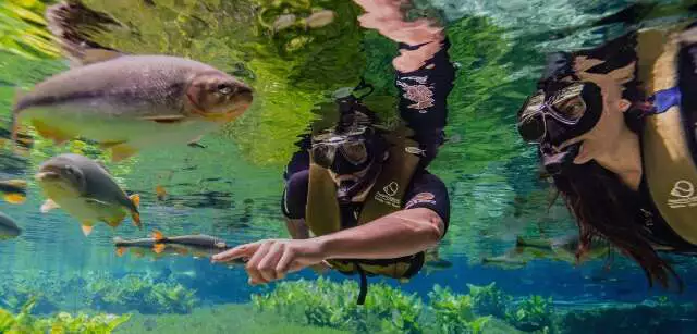 Turismo em Bonito: 115 mil visitantes em 5 meses de 2026