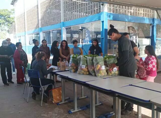 Mutirão em Campo Grande oferece serviços e mudas frutíferas