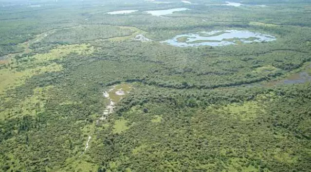MS lança edital para comercializar créditos de carbono