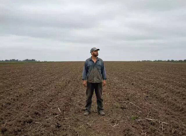 Arrendamento rural: como cobrar e retomar a terra por falta de pagamento
