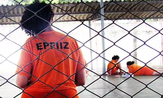 MS na rota da cocaína: encarceramento e fronteira